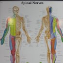 은평경희한의원 이미지