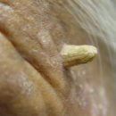 태양여인숙 이미지