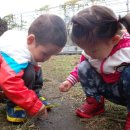 준성자연어린이집 이미지