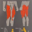 유성PT 용쓰짐 헬스장 이미지