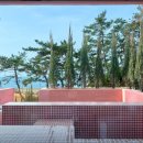 스테이인터뷰파도리 이미지