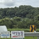 (주)대성제2주유소 | 원주 대성농원 복숭아 후기 복숭아품종 치악산복숭아 천중도 용택골드 장택