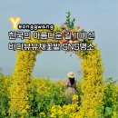 정유재란 열부순절지 | 전남 유채꽃 명소 영광 백수해안도로 한국의 아름다운길 100선 벚꽃 동백꽃 개화상황