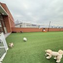 아지야 놀자 이미지