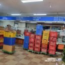 완월동216 이미지