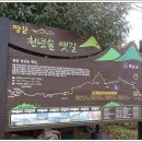 탑동 5층석탑 이미지