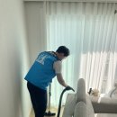 대구 아쿠아택스 쇼파청소 침구클리닉 이용후기(+먼지와 진드기 박멸)