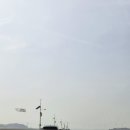 세븐일레븐 화성제부사랑점 | 제부도 애견동반 독채펜션 / 제부 포레스트 S1 단체동 이용후기