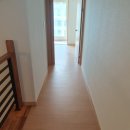 강서구-34 이미지