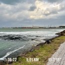 팔공산올레길 5코스 | [러닝] 제주 한림 올레길 14코스 5km 러닝 후기 (11월 제주도 러닝)