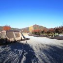 아날로그데이 이미지