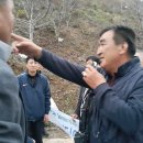 신동농장 Daum카페