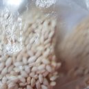 강릉과질 이미지