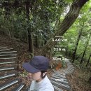 기초대사량 높이는 방법, 서귀포 고근산 코스 주말 아침 런트립 루틴