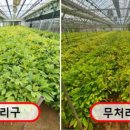 화천군농업기술센터 이미지