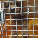 현대중공업미포문 이미지