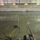 탑전낚시터 | 2025.11.07 천안 부대동낚시터(하우스)-엔터피싱 동계리그 참석 #새로운놀이터 #하지만...