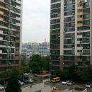 덕일체육관 이미지