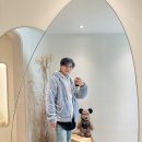 [Beauty - 강남구청역] 왁싱에 이어 스킨플래닝으로 방문한, 청담 에이윤뷰티 (A.Yoon Beauty)