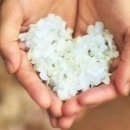 태훈농장 이미지