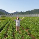 이병학농장 이미지