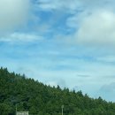 봄봄법환점 | 쥬쥬클럽 in jeju