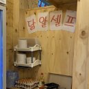 담장을 넘은 까닭 이미지