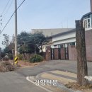 가로수 이미지