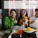 파티파티케이크
