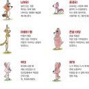 다잡 - 시흥시 수인로3465번길 60 | 다잡