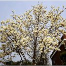 소금뱃길 이미지