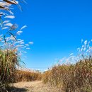 노을따라 이미지