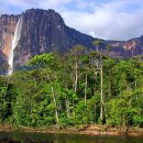 오리노코(orinoco) 이미지