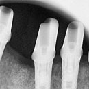 희망을심는치과의원 이미지