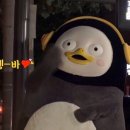 리본프랜즈 이미지