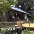 [삼시세끼] 유해진이 집 나간 반려견 다시 돌아오게 하는 법ㅋㅋㅋㅋㅋㅋ.jpgif 이미지