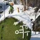꽃의편지 이미지