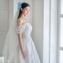 헬레나헤어라인