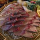 어부의선 | [홍대] 연남동 방어회 맛집 추천 | 제철 방어는 연남어부! (내돈내산 / 가격 / 웨이팅)