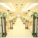 아네스 헤어 이미지