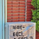 대전 은행동 카페 테디스테디고 분위기 좋은 고양이 카페 추천