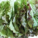 청송오토캠핑장 이미지