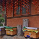 충주호수마을 이미지