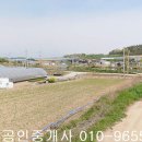 신안군 압해읍 신장리 답390제곱,매1600만원,전남토지매매,신안토지매매 이미지