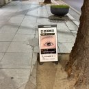 오쏘뷰티 - 95965 | [대구/중구] 동성로 '디오사뷰티' : 대구속눈썹펌추천 | 동성로 속눈썹펌 후기