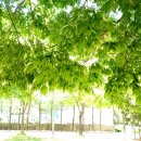 12억 마포구 아파트, 8억에 팔렸다…초강력 대출 규제에 &#39;출렁&#39; 이미지