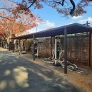 체육시설운동기구 이미지