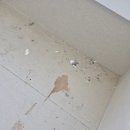 동아세탁 | 분당 서현동 효자촌동아아파트 인테리어 후 입주청소 후기