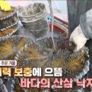 종로철판볶음불고기 이미지