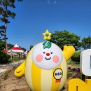 (주)금사환경 이미지
